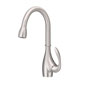 Danze D404546SS Bellefleur Single Handle Pulldown Kitchen Faucet