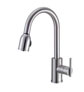 Danze D457058SS Parma Single Handle Pull-Down Kitchen Faucet