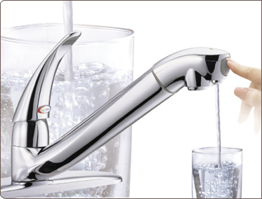 Moen 7030 PureTouch Classic Filter Faucet
