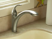 Kohler Forte